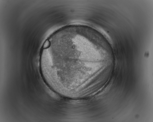 X0000102011376200808081714