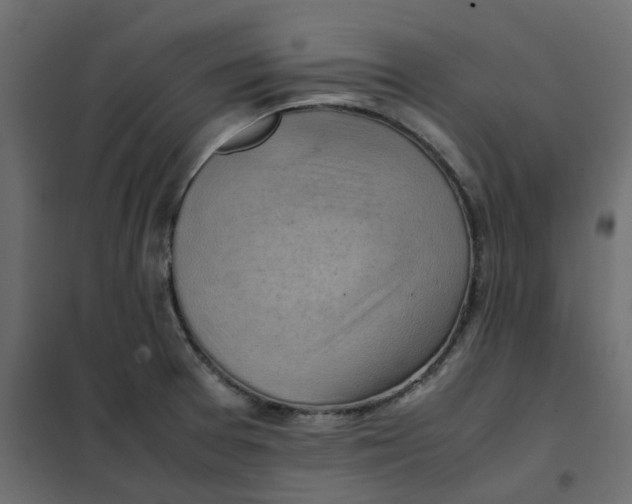 X0000102011377200808081714