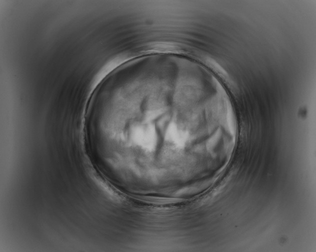 X0000102011378200808081714