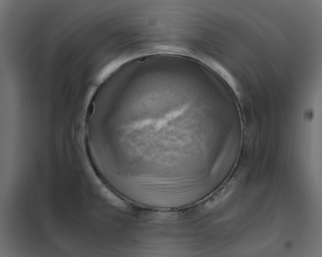 X0000102011381200808081714