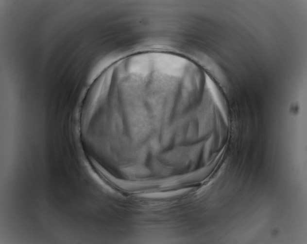 X0000102011382200808081714