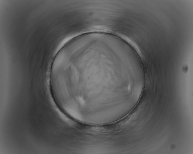 X0000102011383200808081714