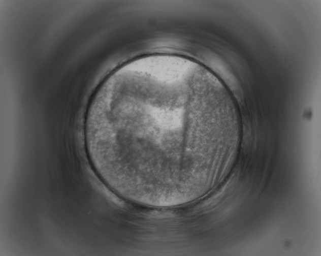 X0000102011384200808081714