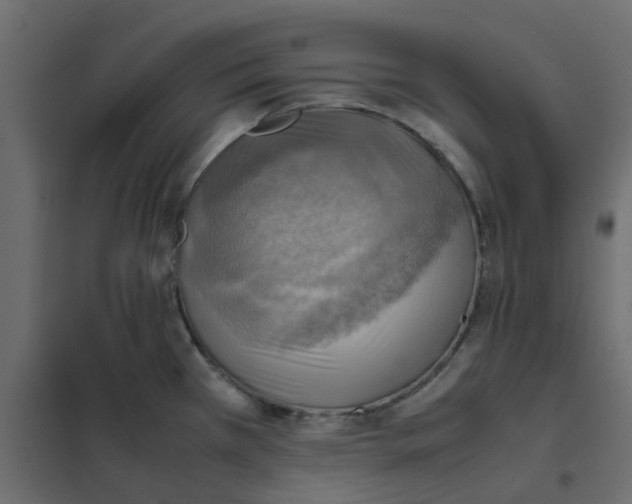 X0000102011385200808081714