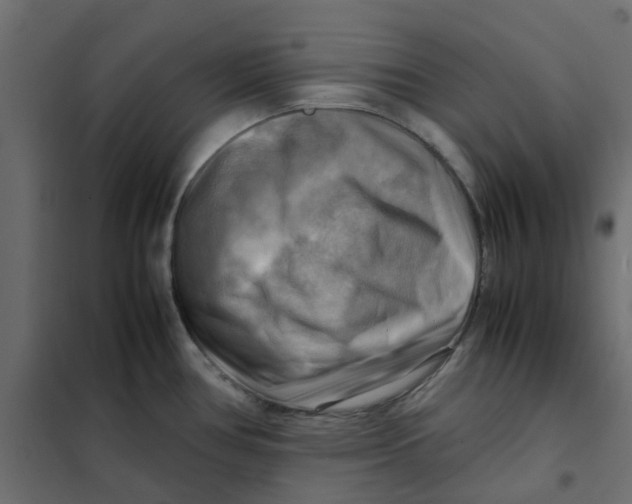 X0000102011386200808081714