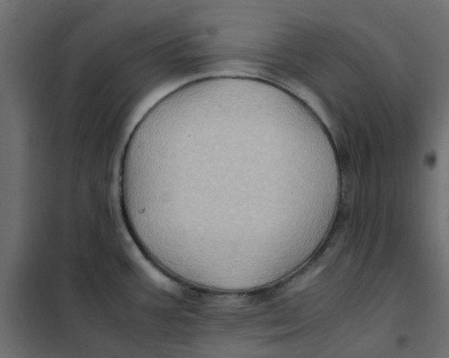 X0000102011387200808081714