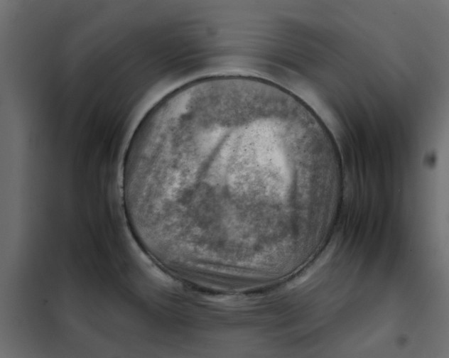 X0000102011388200808081714