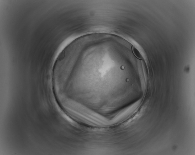 X0000102011389200808081714