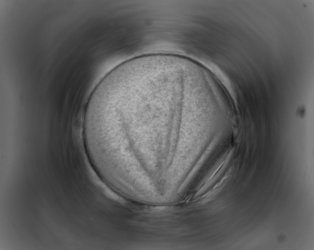 X0000102011390200808081714