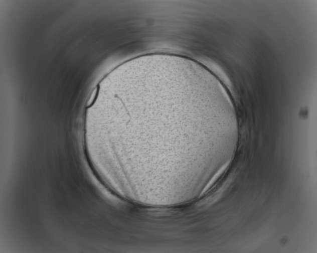 X0000102011391200808081714