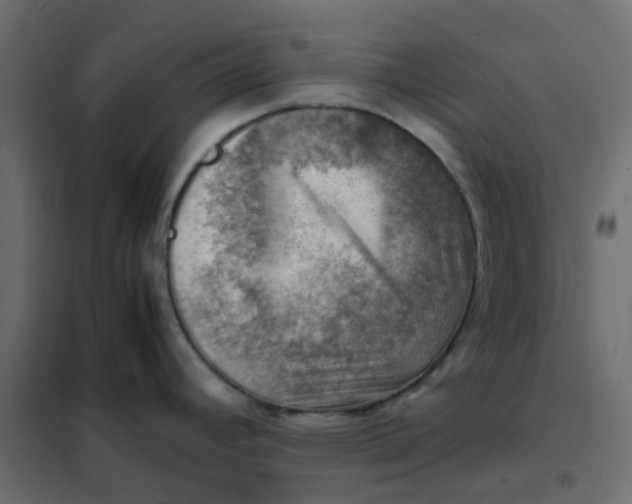 X0000102011392200808081714