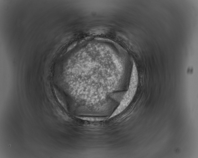 X0000102011393200808081713