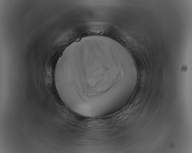 X0000102011394200808081713