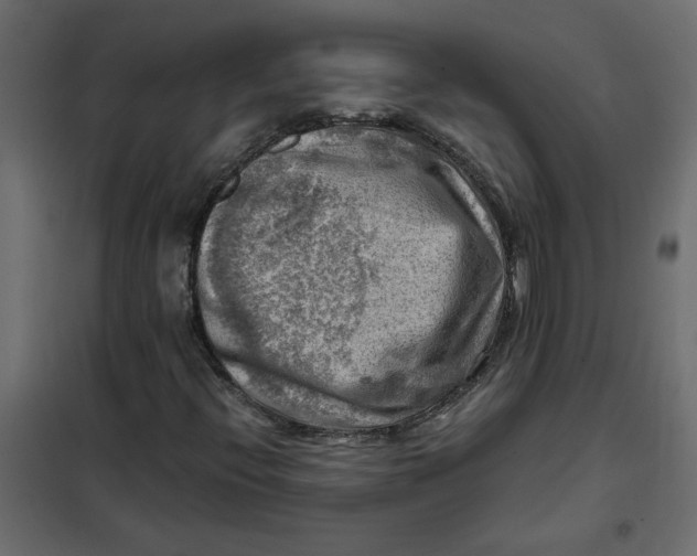 X0000102011396200808081713