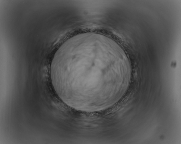 X0000102011397200808081713