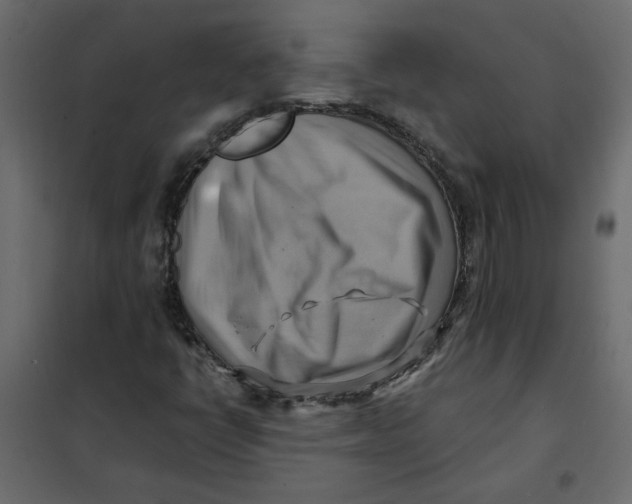 X0000102011398200808081713