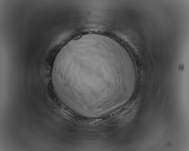 X0000102011399200808081713