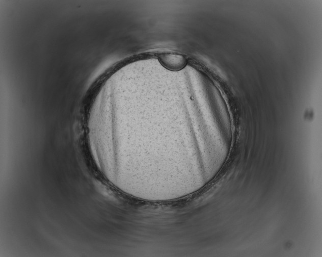 X0000102011400200808081713