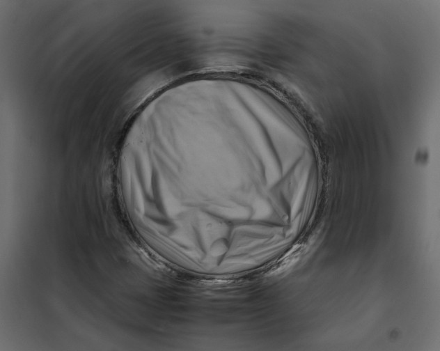 X0000102011401200808081713