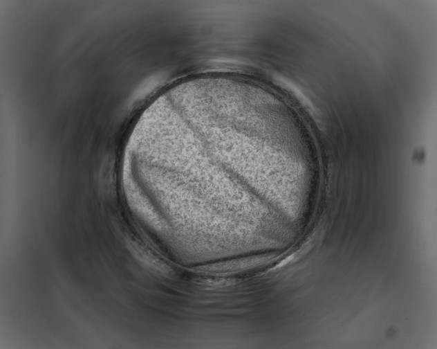 X0000102011403200808081713