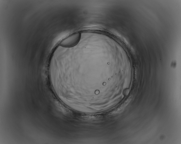 X0000102011405200808081713