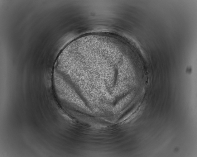 X0000102011409200808081713