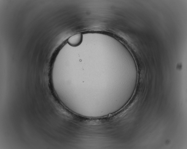 X0000102011410200808081713