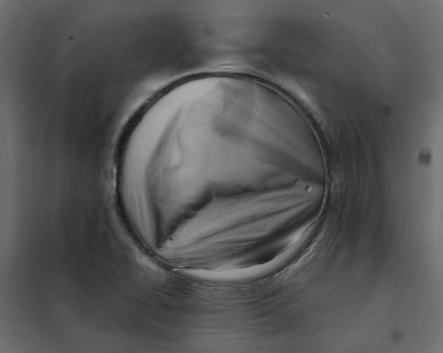 X0000102011414200808081713