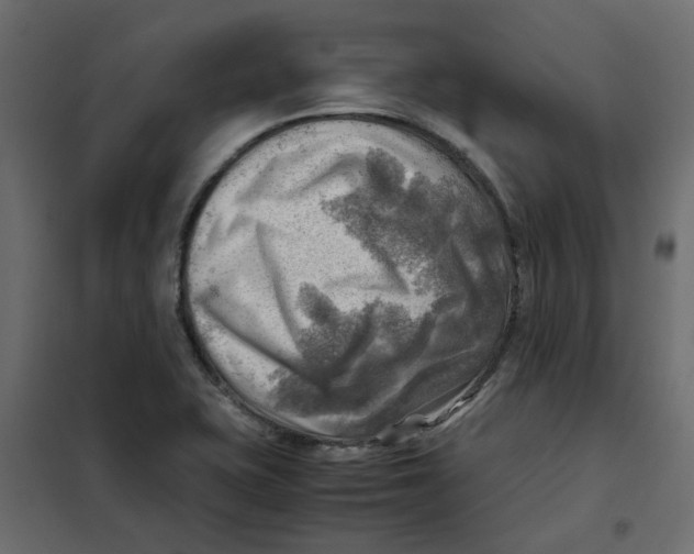 X0000102011415200808081713