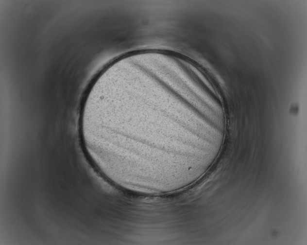 X0000102011416200808081713