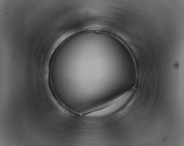 X0000102011418200808081713