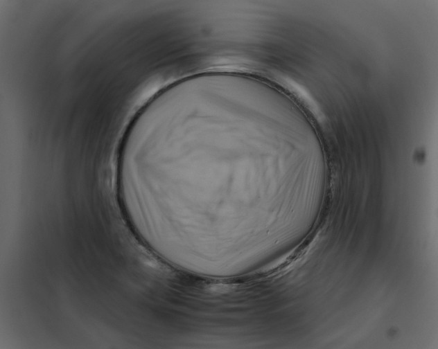 X0000102011419200808081713