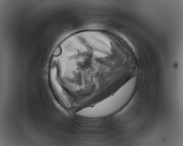 X0000102011421200808081713