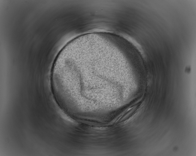 X0000102011423200808081713