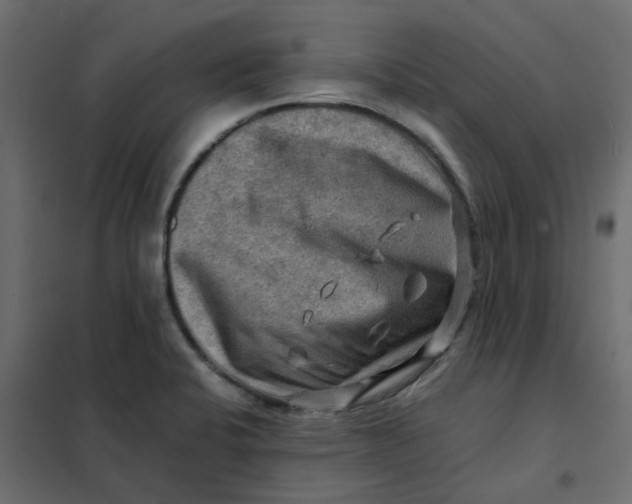 X0000102011424200808081713