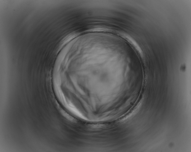 X0000102011425200808081713