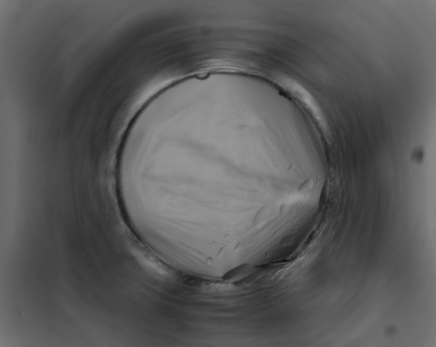 X0000102011427200808081713