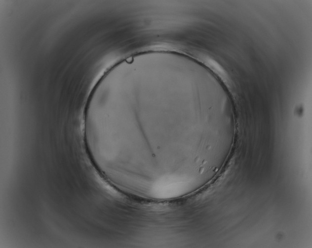 X0000102011428200808081713