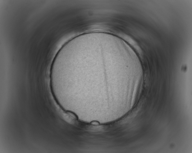 X0000102011431200808081714