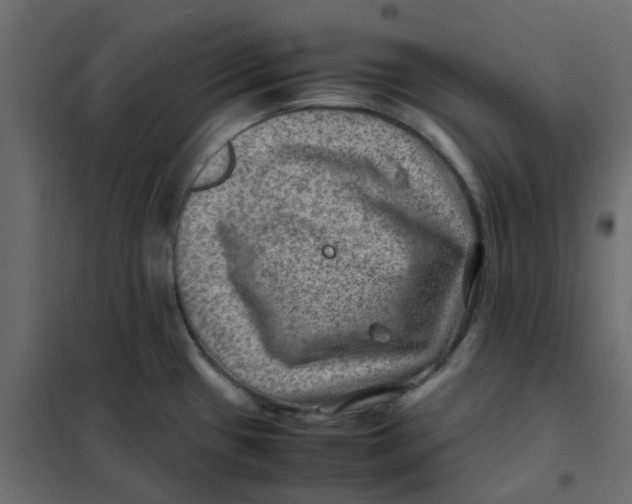 X0000102011433200808081714