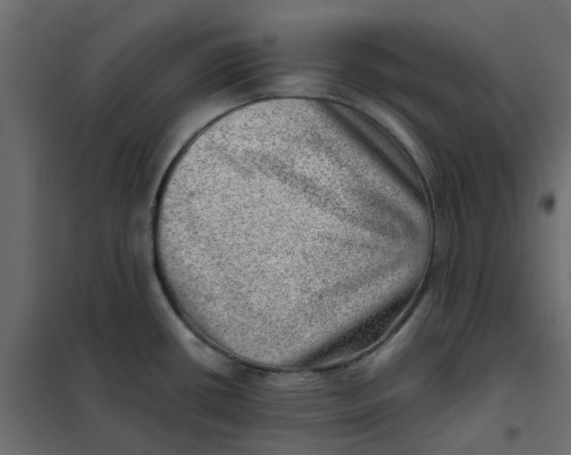 X0000102011434200808081714