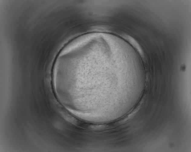 X0000102011435200808081714