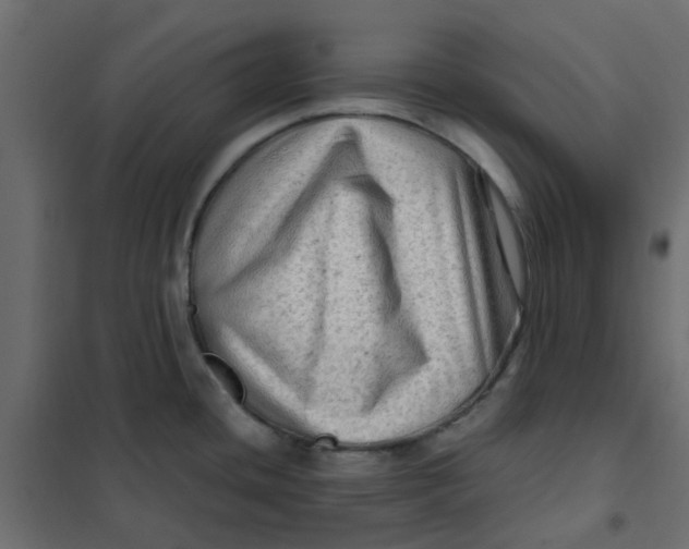 X0000102011436200808081714