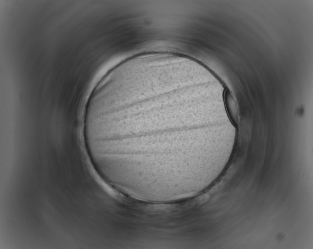 X0000102011437200808081714