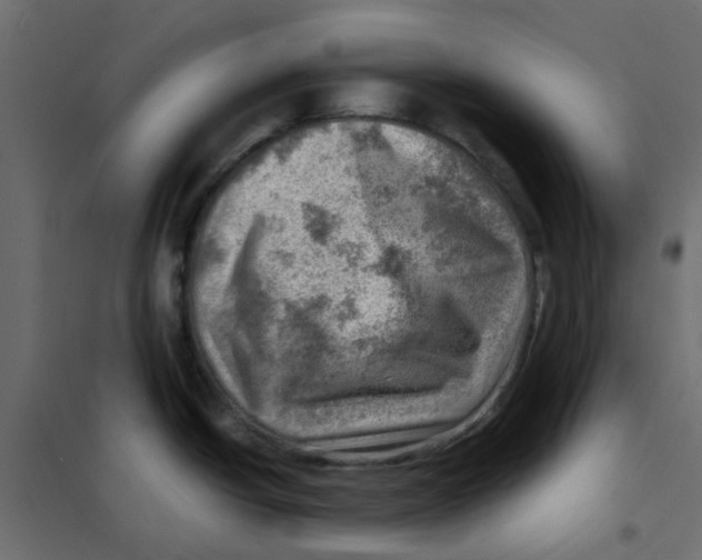 X0000102011438200808081714