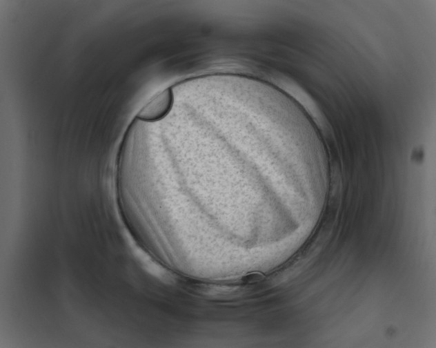 X0000102011439200808081714