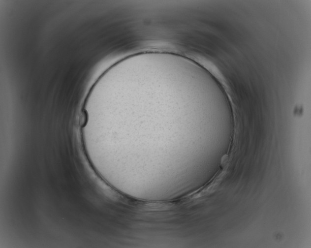 X0000102011440200808081714