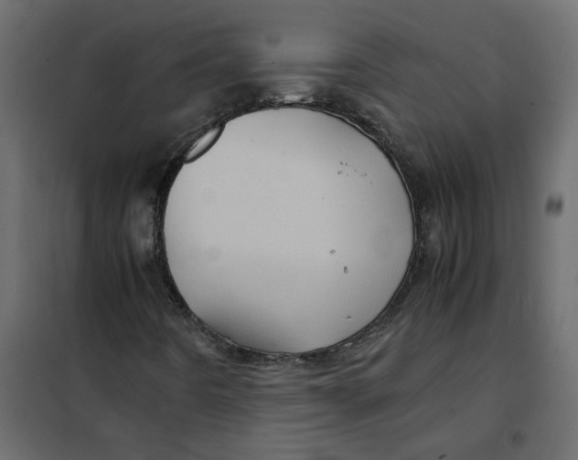 X0000102011442200808081713