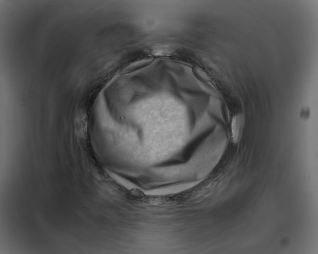 X0000102011443200808081713