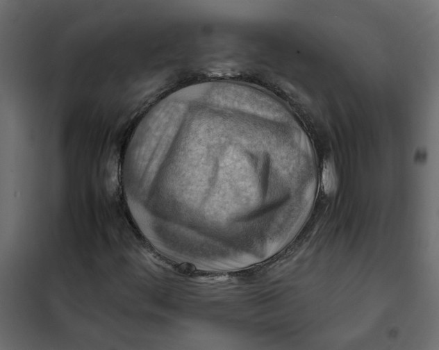 X0000102011444200808081713